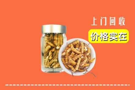 韶关仁化县回收散虫草