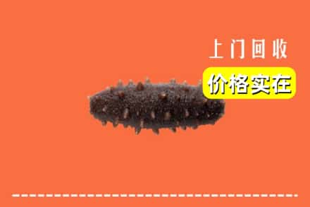 韶关仁化县回收海参