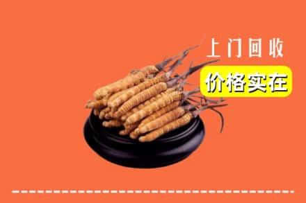 韶关仁化县回收冬虫夏草